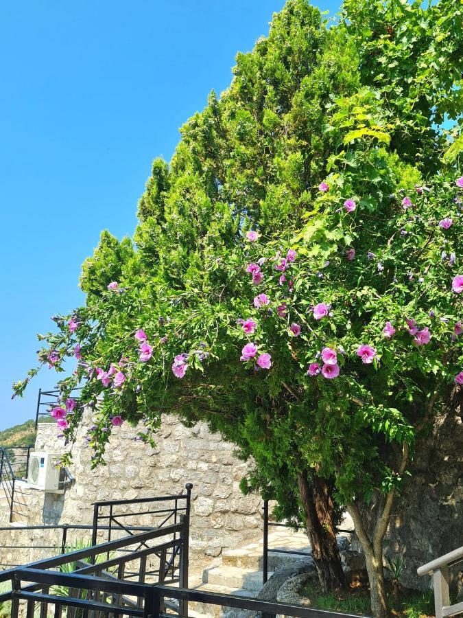 Villa Nera Будва Екстер'єр фото