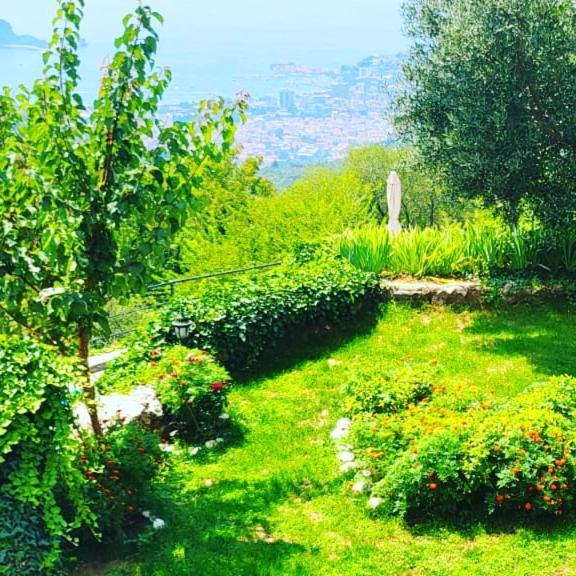 Villa Nera Будва Екстер'єр фото