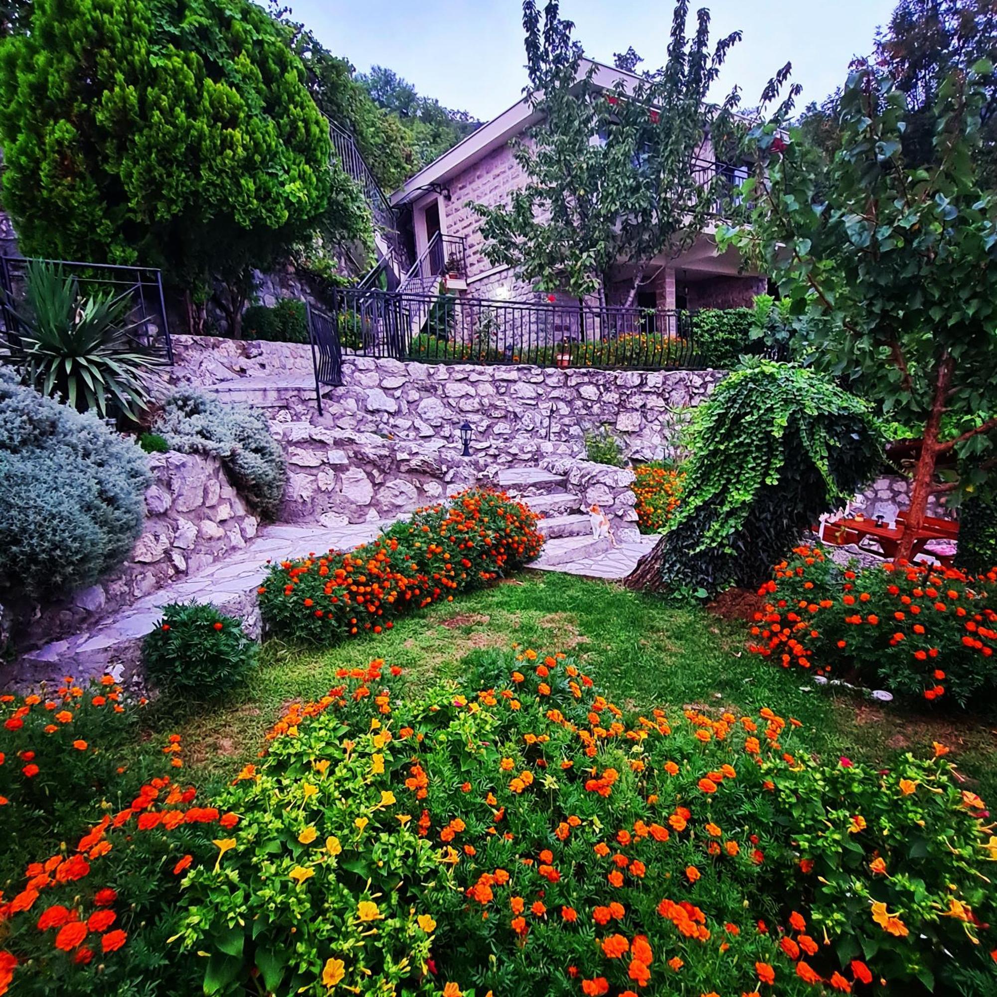 Villa Nera Будва Екстер'єр фото
